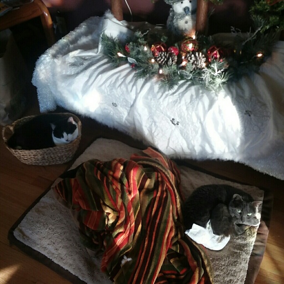 Meet your Posher, Bri - Picture 6 of 9